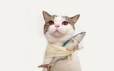 找工作避坑不完全指南